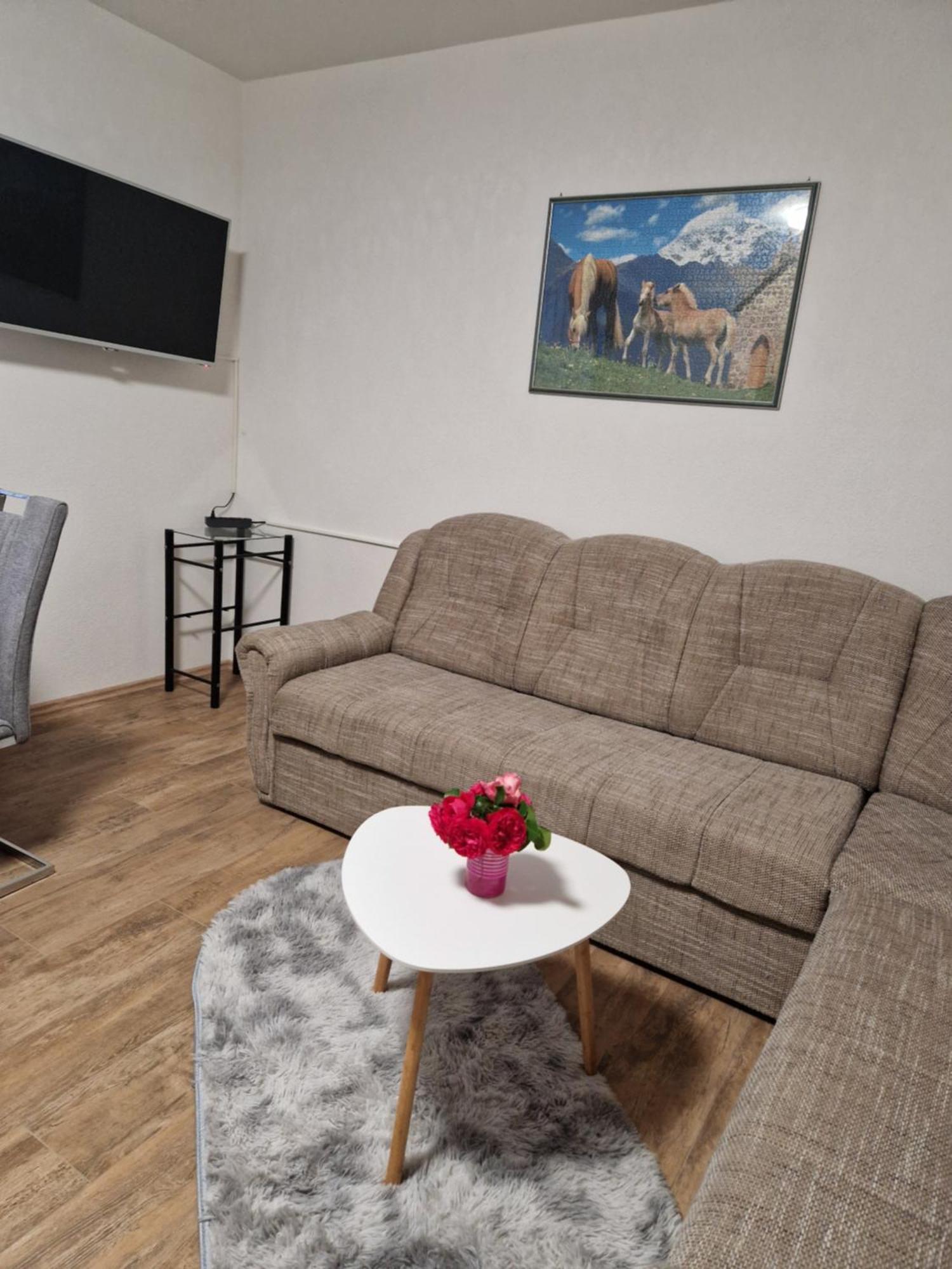 Apartma-Sobe Lejla Vipava Dış mekan fotoğraf